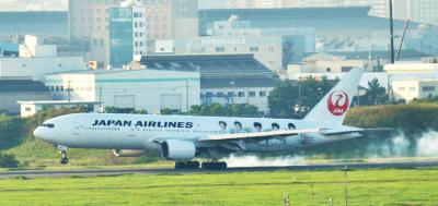 新・ＪＡＬ嵐ジェット　羽田空港