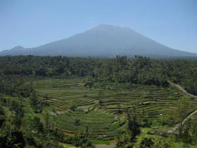 3初バリは適度に観光、適度にのんびり　～ウブドからレギャンへ～