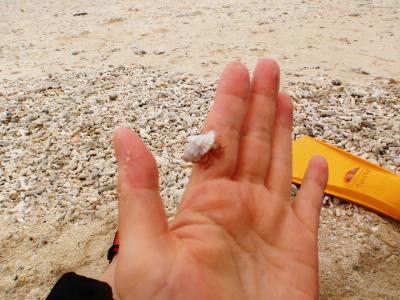 2011 沖縄　番外編