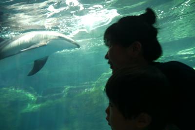 子連れで行く大阪「海遊館」&amp;北極星オムライスランチ＆沖縄料理