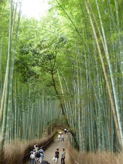 京都１泊２日旅行＊１日目＊