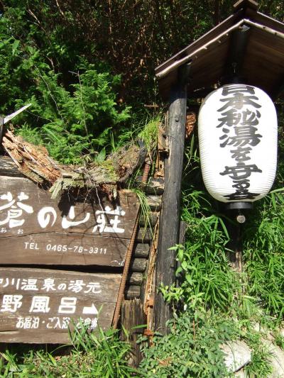 神奈川県唯一の秘湯の湯、蒼の山荘にて日帰り風呂、散策、足柄SA、などなど