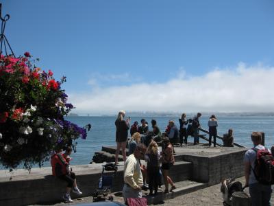 とりあえず・サンフランで風になりましょうよ! (西海岸の旅-1)
