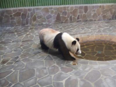 神戸・淡路島旅行記(1)王子動物園へ