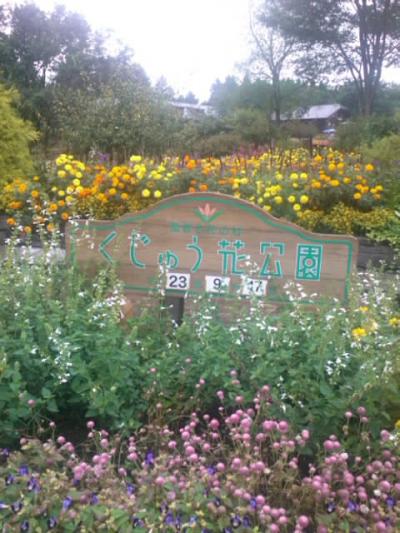 ★久々の、”お千代さん”のバスハイク in「 くじゅう花公園」・・・の旅。