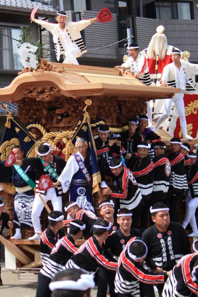 初めての岸和田だんじり祭りで大興奮！だにゃん