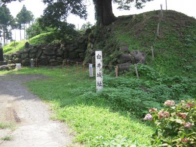 上野渋川　鎌倉公方を支えた関東管領山内上杉氏の重臣白井長尾氏が利根川と吾妻川合流の河岸段丘に築城の難攻不落『白井城』訪問