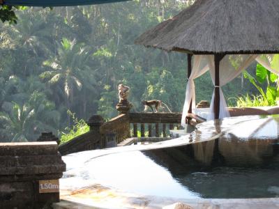 ほぼ何もしない休日 バリ島 3日目