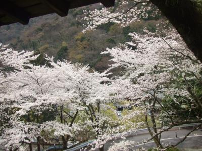 箱根ほっこり春旅編