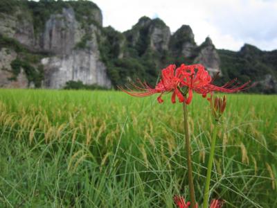 九州一人旅~大分 その2~