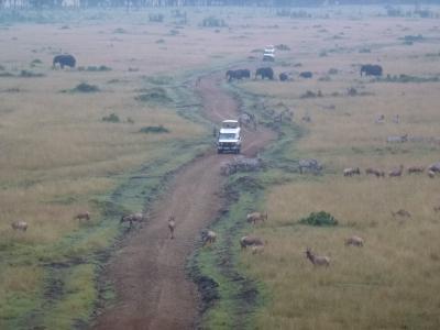 ケニア（マサイマラ・ナクル湖・ナイバシャ湖）＋ドバイの旅（その１）