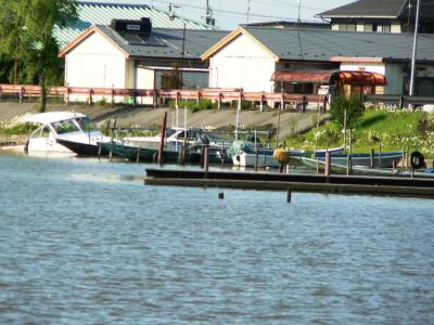 日本の旅　関西を歩く　近江八幡市の西の湖と草津駅周辺