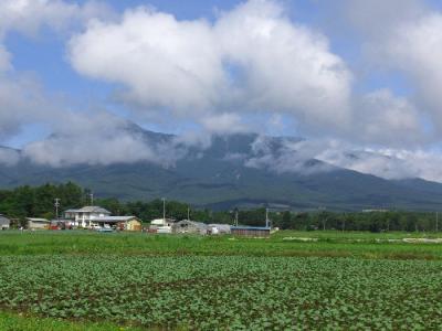 「八ケ岳高原線・身延線を訪ねる旅」