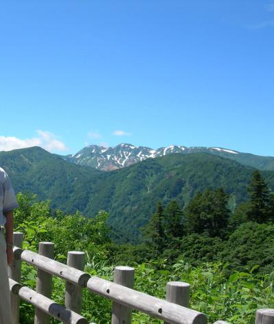 越前、白山、飛騨、箱根ドライブ旅行　?（白山）