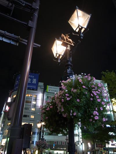 水戸～会津～仙台　名所めぐり③仙台