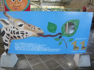 札幌市立円山動物園で動物の赤ちゃんとご対面＆小樽へ