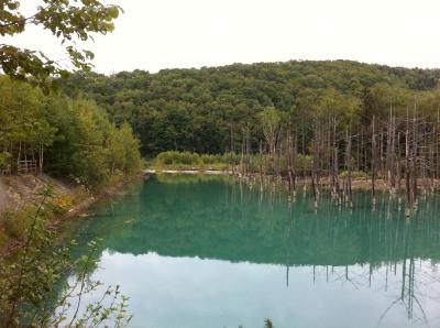 青い池を見に。。。
