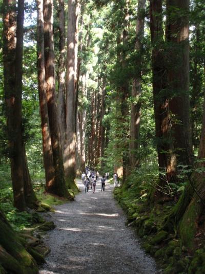 信州のパワースポット戸隠神社奥社を参拝！！パワーｇｅｔ出来たーーー
