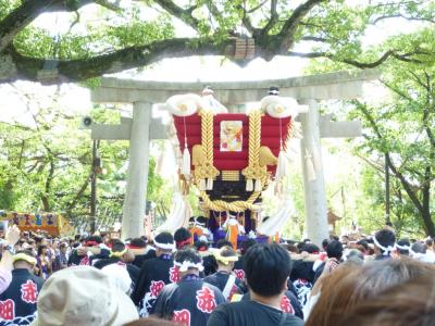 百舌鳥八幡宮月見祭　ふとん太鼓！！