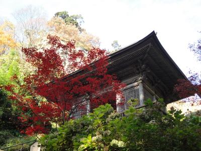 紅葉の山寺