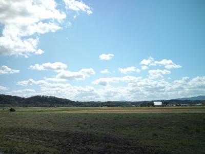 【ウォーキング】 滋賀県(日野・五個荘)