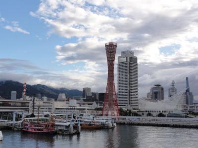 プリウスで行くゆるゆる日本一周 53日目