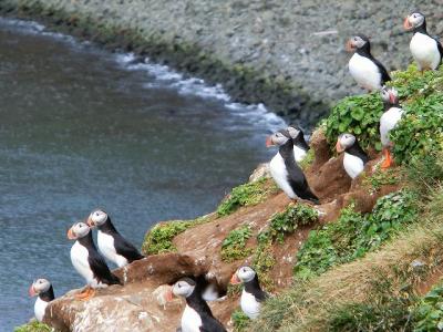 アイスランドの北極圏の島