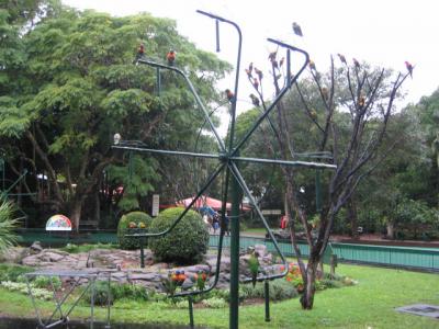 ゴールドコースト8日間 ■4日目