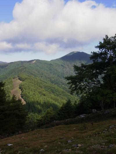 2011年　雲取山☆日帰りで百名山登山