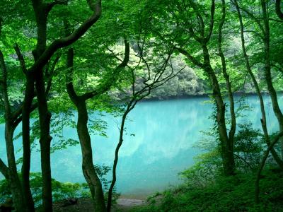 ☆奥多摩・新緑とエメラルドグリーンの川でハイキング☆