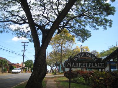 のんびりハワイ★