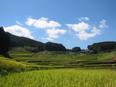 『鬼木棚田まつり』