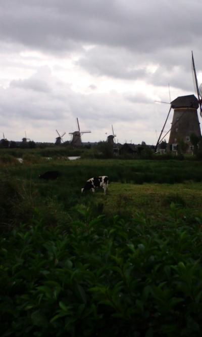 オランダな風景～Rotterdam～KINDERDIKE風車～Den Haag～