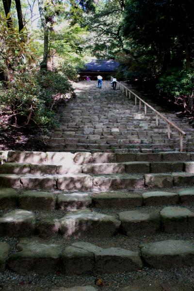２０１１年秋　奈良にドライブ【前編】～室生寺の階段はキツカッタにゃん