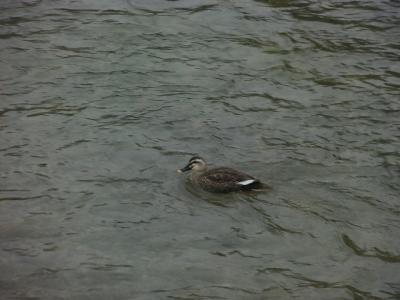 初めて電車で高山へ…No.3