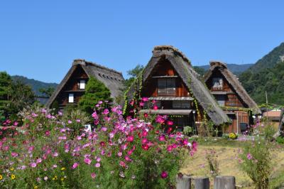 白川郷さん専用 お土産処 ひだ白川郷かたりべ | ご当地ちいかわ ちいかわの