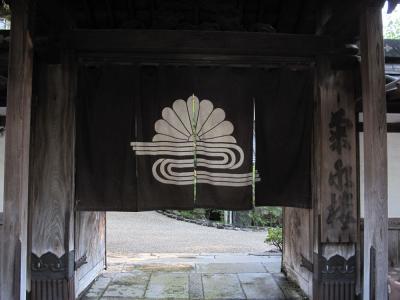 涼しくなった奈良を散歩する