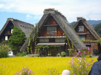 世界遺産白川郷合掌造りと砺波平野の散居村