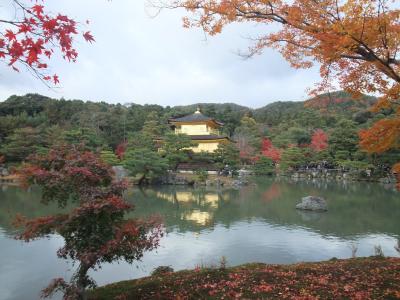 ～日帰り京都旅行～