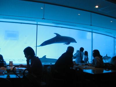 福岡旅行 2日目 (マリンワールド海の中道、もつ鍋屋)