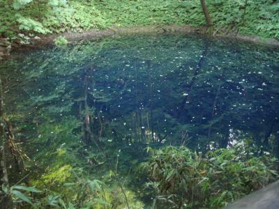 サバイバル　青森の旅