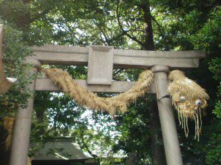 蛇を奉る神社　奥沢神社