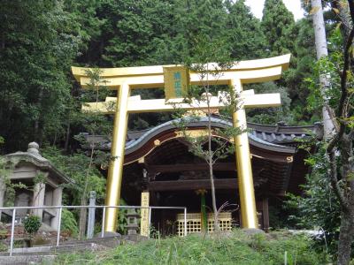 京都山科の金色に輝く寺 本圀寺