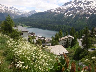旅のキオクのかけら(スイス・その2/2009)