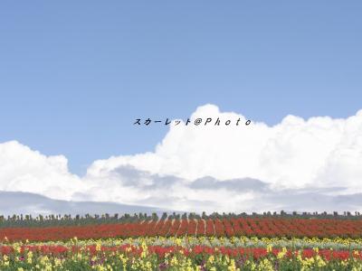 プチトリップ☆富良野・美瑛 ~2day~