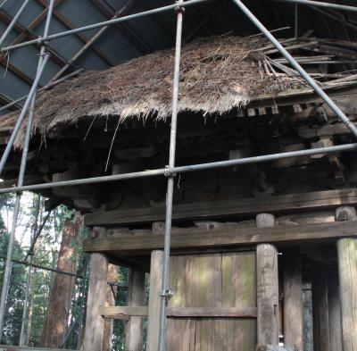 568　朽ち果てる三重塔「荒橿（あらかし)神社 三重塔」 栃木県芳賀郡茂木町小井戸325 