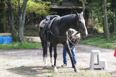 初秋の信州～エクシブ蓼科 その③観光　蓼科乗馬ファームと白骨温泉