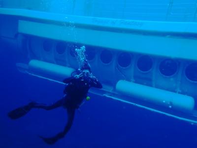 バリ島サヌールでダイビング留学中