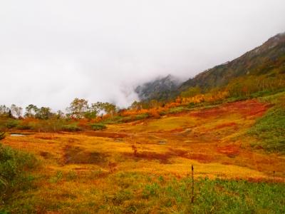 紅葉一番乗り！白馬は秋も素晴らしかった【2日目･栂池自然園】