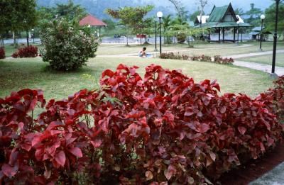 ホンホンホン メーホンソンその2